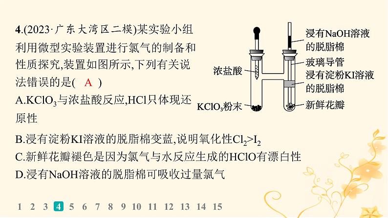 适用于新高考新教材2024版高考化学二轮复习选择题专项练7课件第8页