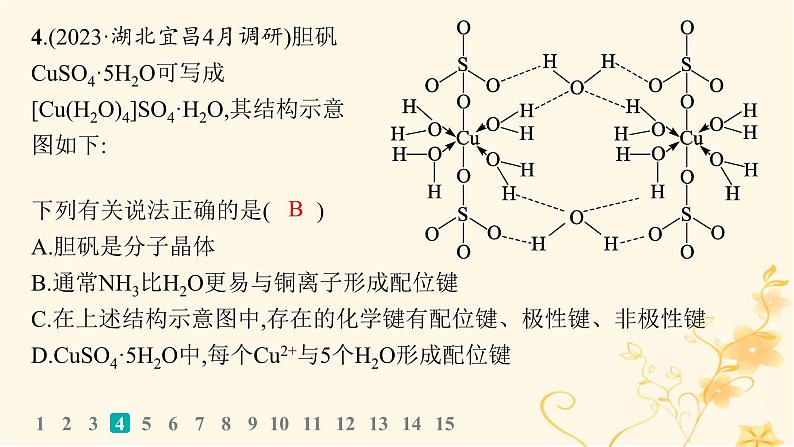 适用于新高考新教材2024版高考化学二轮复习选择题专项练9课件08