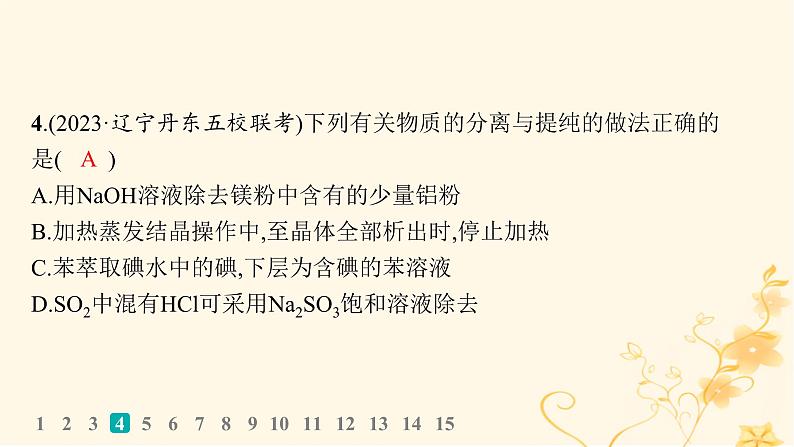 适用于新高考新教材2024版高考化学二轮复习选择题专项练8课件第7页