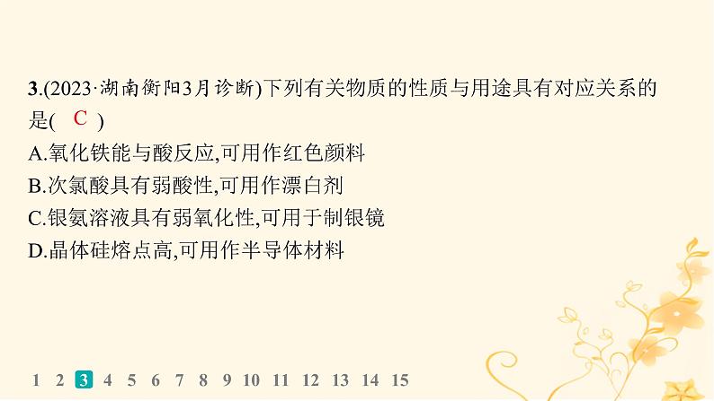 适用于新高考新教材2024版高考化学二轮复习选择题专项练10课件04