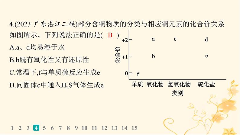 适用于新高考新教材2024版高考化学二轮复习选择题专项练10课件06