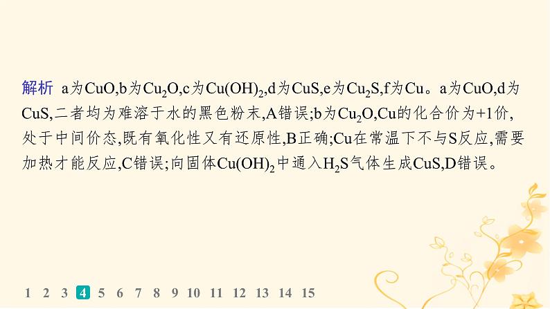 适用于新高考新教材2024版高考化学二轮复习选择题专项练10课件07