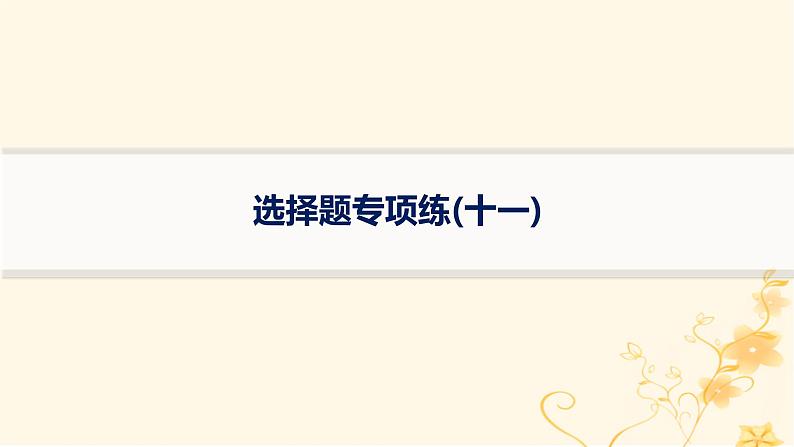 适用于新高考新教材2024版高考化学二轮复习选择题专项练11课件01