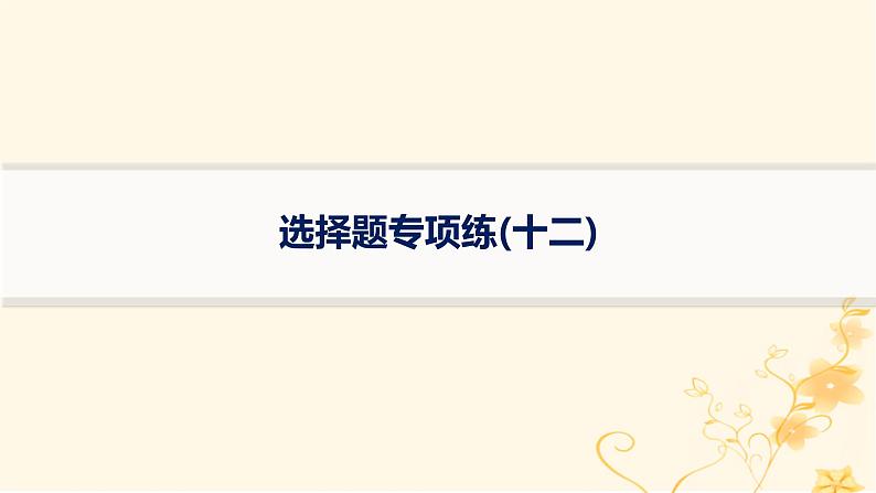 适用于新高考新教材2024版高考化学二轮复习选择题专项练12课件第1页