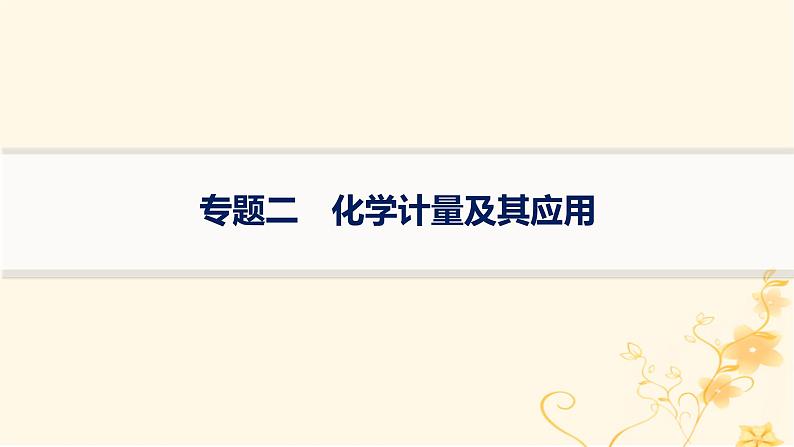 适用于新高考新教材2024版高考化学二轮复习专题2化学计量及其应用课件01