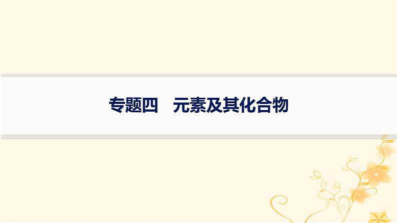 适用于新高考新教材2024版高考化学二轮复习专题4元素及其化合物课件第1页