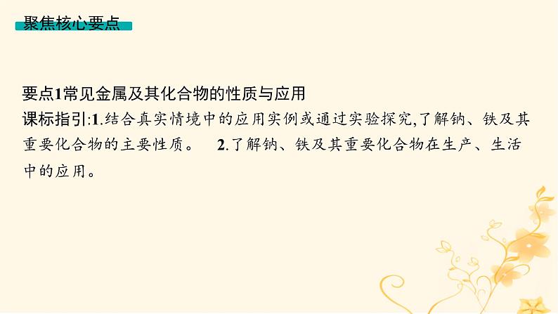 适用于新高考新教材2024版高考化学二轮复习专题4元素及其化合物课件第7页