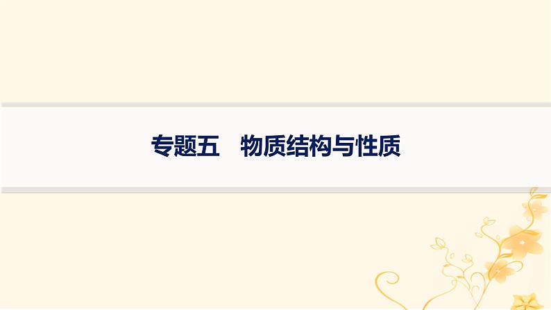 适用于新高考新教材2024版高考化学二轮复习专题5物质结构与性质课件第1页