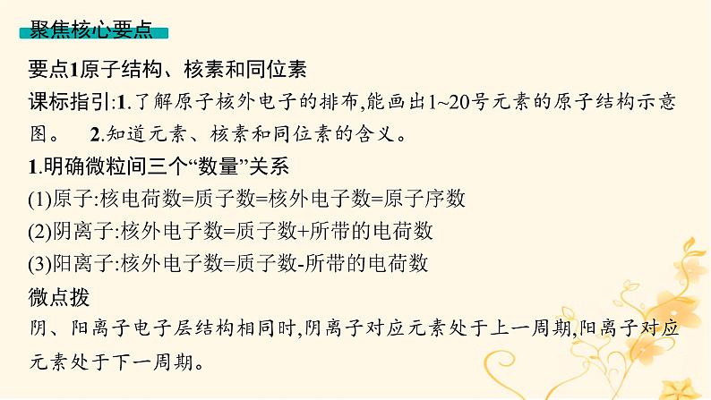 适用于新高考新教材2024版高考化学二轮复习专题5物质结构与性质课件第7页