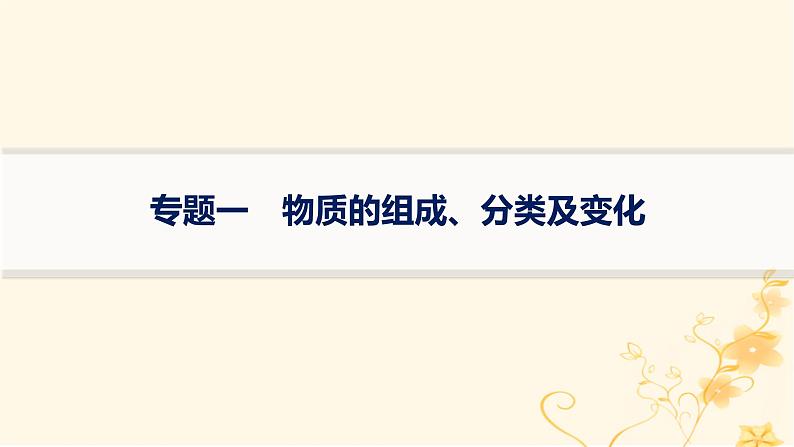 适用于新高考新教材2024版高考化学二轮复习专题突破练1物质的组成分类及变化课件第1页