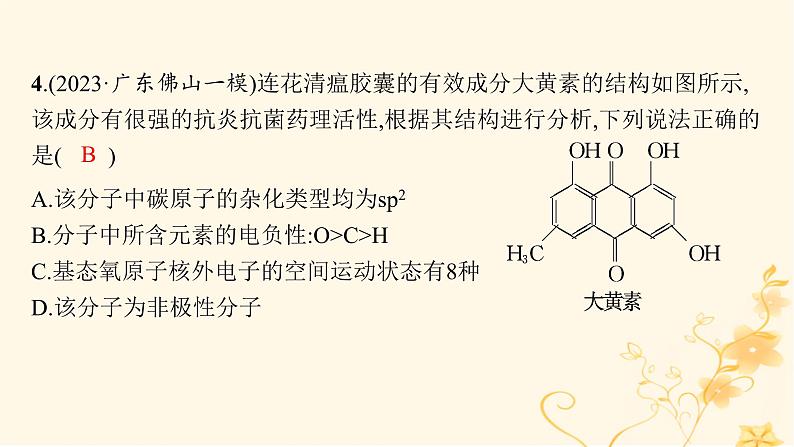 适用于新高考新教材2024版高考化学二轮复习专题突破练5物质结构与性质课件06