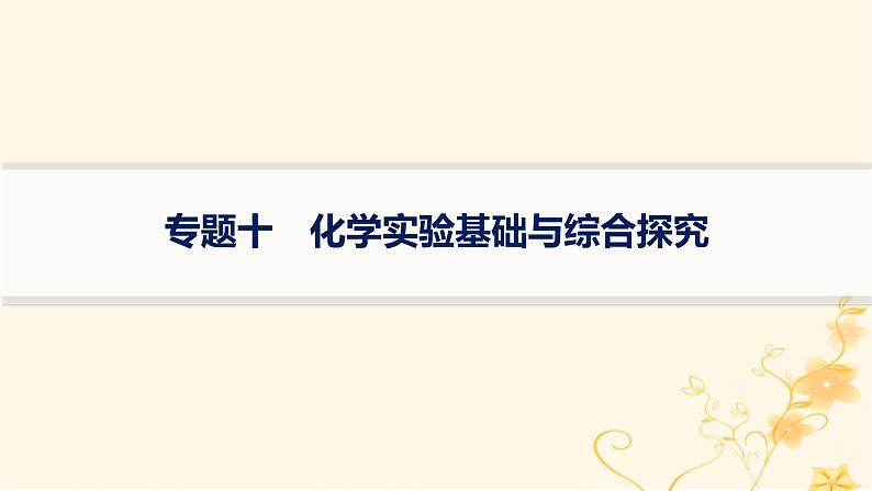 适用于新高考新教材2024版高考化学二轮复习专题突破练10化学实验基础与综合探究课件第1页