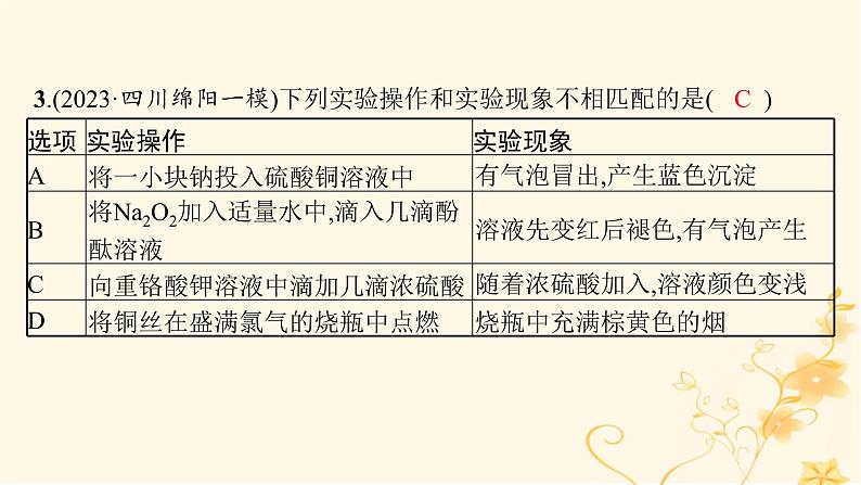 适用于新高考新教材2024版高考化学二轮复习专题突破练10化学实验基础与综合探究课件第4页