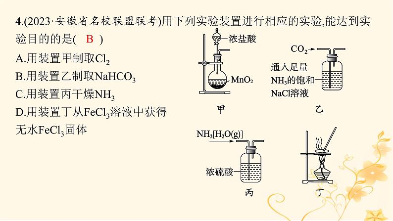 适用于新高考新教材2024版高考化学二轮复习专题突破练10化学实验基础与综合探究课件第6页