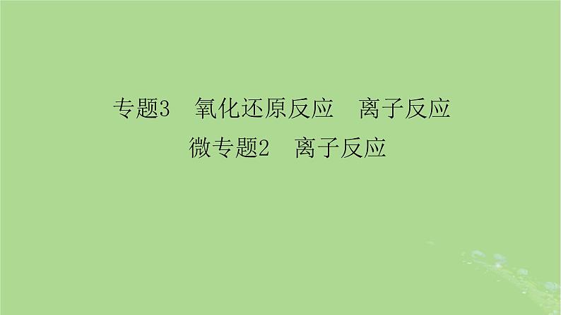 新教材适用2024版高考化学二轮总复习第1部分新高考选择题突破专题3氧化还原反应离子反应微专题2离子反应课件02