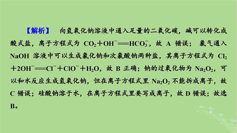 新教材适用2024版高考化学二轮总复习第1部分新高考选择题突破专题3氧化还原反应离子反应微专题2离子反应课件06