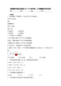 新疆喀什地区巴楚县2023-2024学年高一上学期期中化学试卷(含答案)