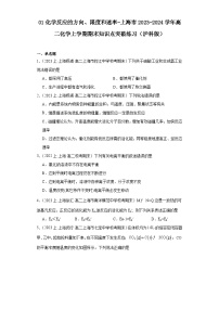 01化学反应的方向、限度和速率-上海市2023-2024学年高二化学上学期期末知识点突破练习（沪科版