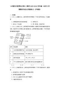 05氮及其重要化合物-上海市2023-2024学年高一化学上学期期末知识点突破练习（沪科版）