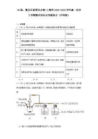 05硫、氮及其重要化合物-上海市2023-2024学年高一化学上学期期末知识点突破练习（沪科版）