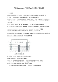 天津市2023-2024学年高三12月月考化学模拟试题（含答案）