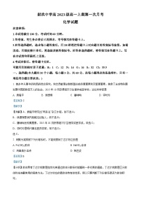 四川省遂宁市射洪中学2023-2024学年高一上学期10月月考化学试题（Word版附解析）