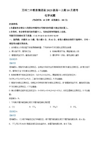 重庆市万州第二高级中学2023-2024学年高一上学期10月月考化学试题（Word版附解析）