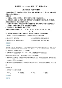 重庆文理学院附属中学校2023-2024学年高一上学期期中考试化学试题（Word版附解析）