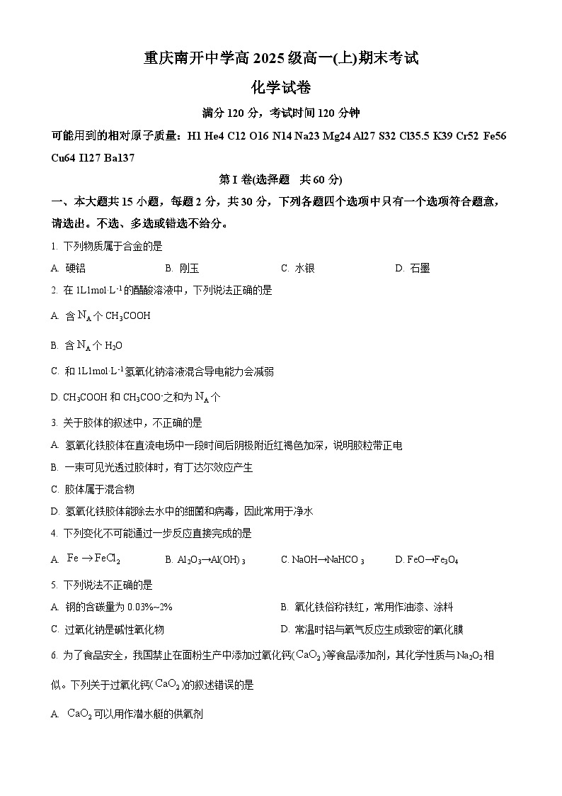 重庆市南开中学校2022-2023学年高一上学期1月期末考试化学试题（含答案解析）01