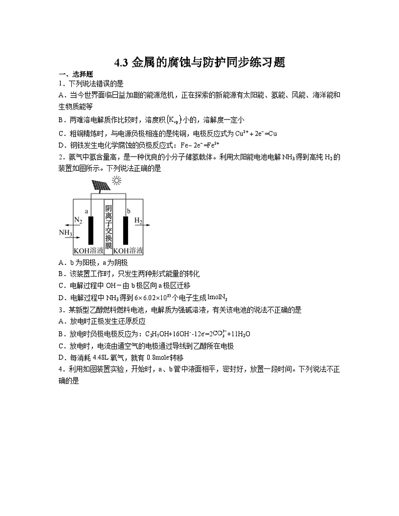 4.3金属的腐蚀与防护  同步练习题  高中化学人教版（2019）选择性必修一01