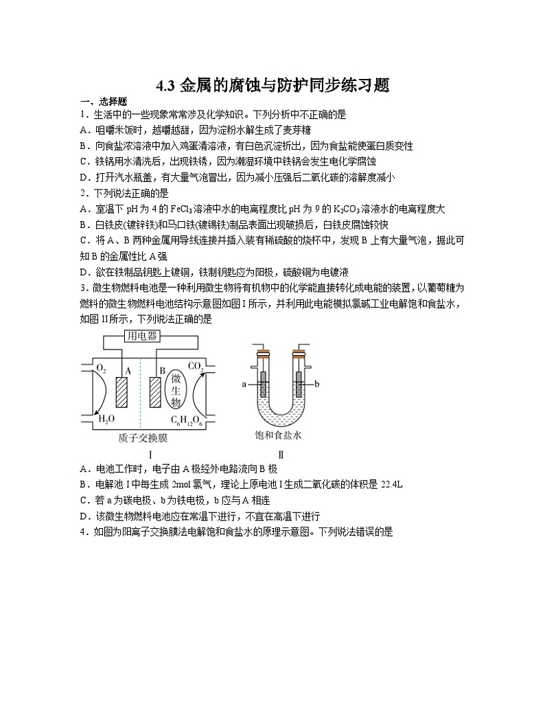 4.3金属的腐蚀与防护  同步练习题  高中化学人教版（2019）选择性必修1第1页