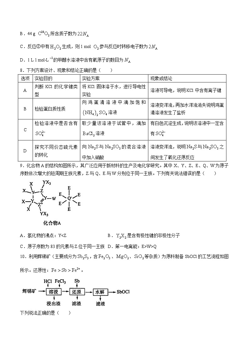福建省泉州市培元中学、永春一中、季延中学、石光中学2023-2024学年高三上学期11月期中考试化学试题03