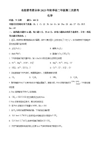 2024湖南省名校联考联合体高二上学期第三次联考化学试题含解析