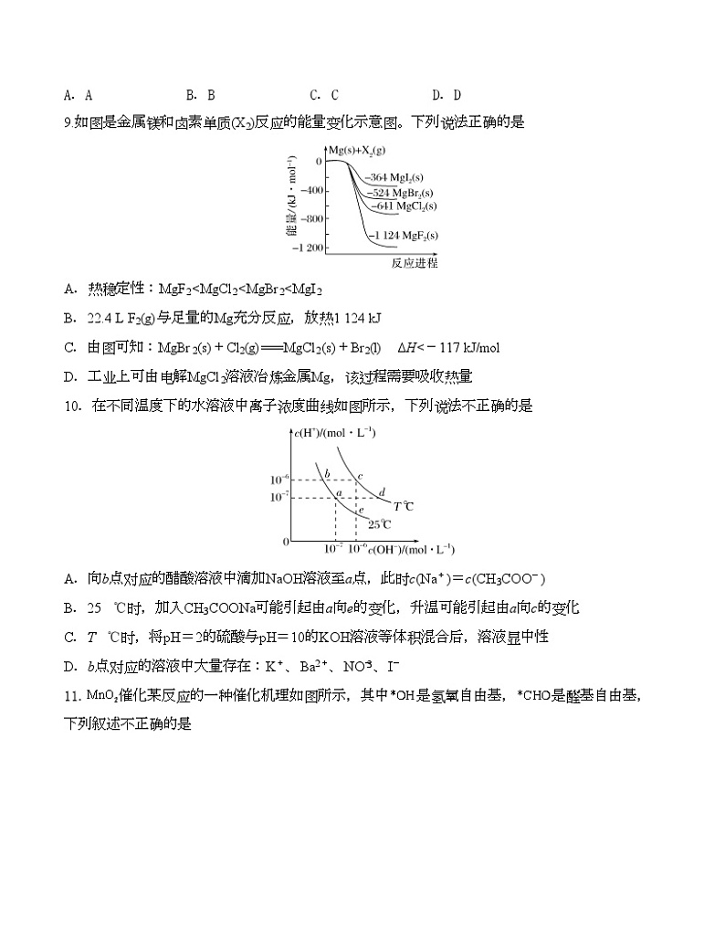 2024邵阳邵东创新高级中学高二上学期创高杯考试化学含答案第3页