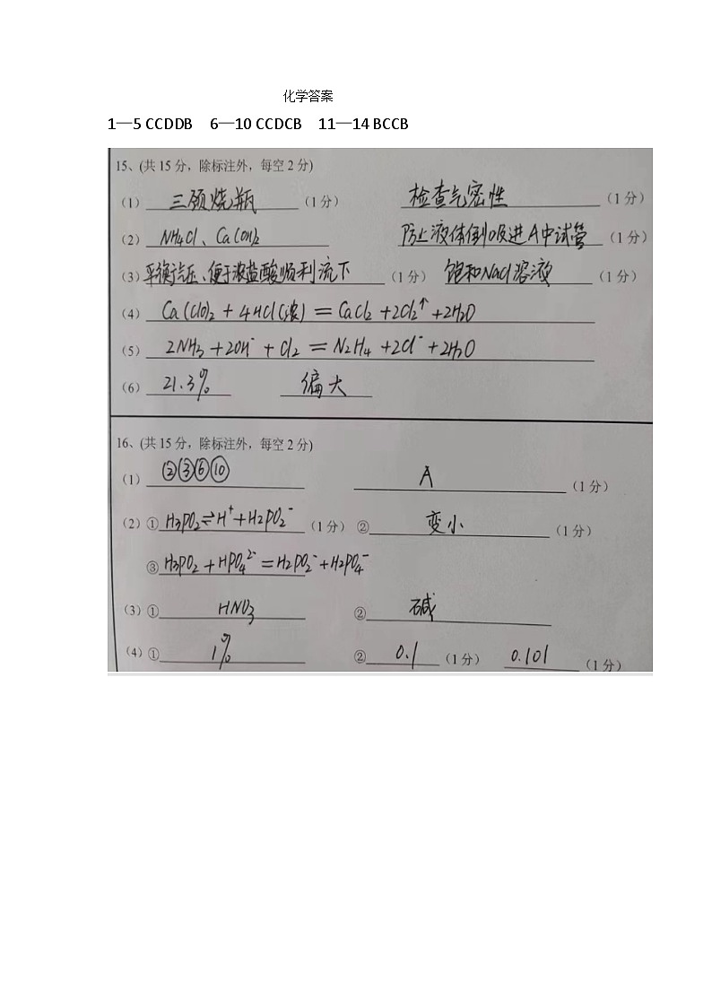 2024四川省射洪中学高二上学期第三次月考试题化学含答案01