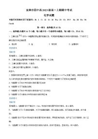 四川省宜宾市第四中学2023-2024学年高一上学期11月期中化学试题（Word版附解析）