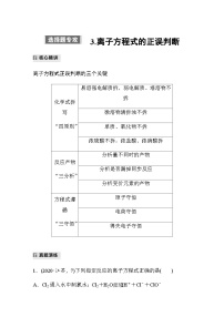 专题一 化学用语与基本概念　选择题专攻 3.离子方程式的正误判断（含解析）-2024年江苏高考化学大二轮复习讲义