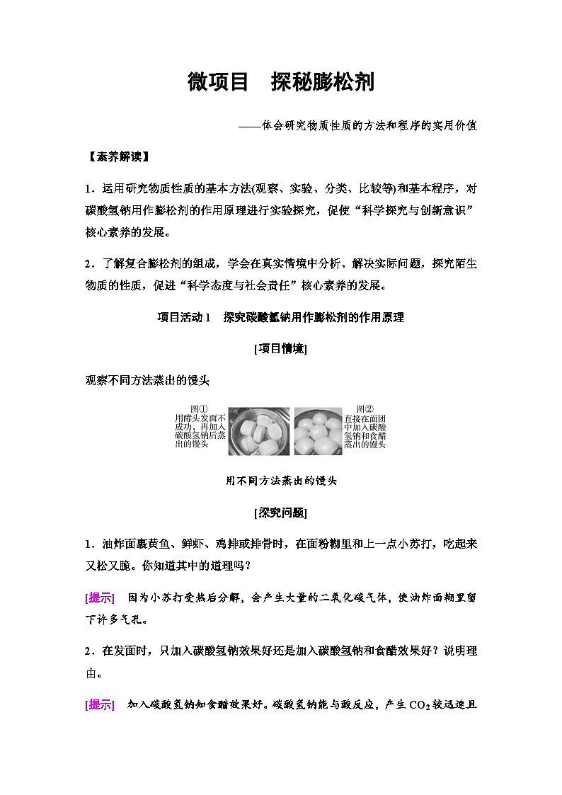鲁科版高中化学必修第一册第1章微项目探秘膨松剂——体会研究物质性质的方法和程序的实用价值学案01