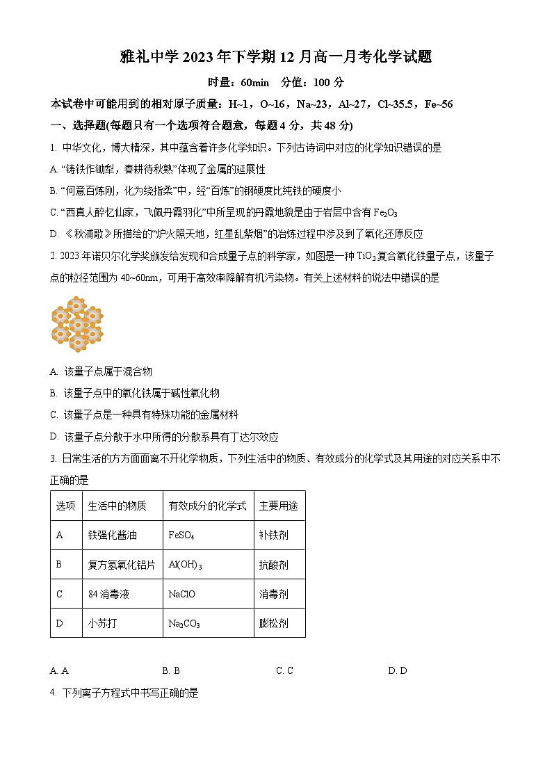 2024长沙雅礼中学高一上学期12月月考化学试题含解析01