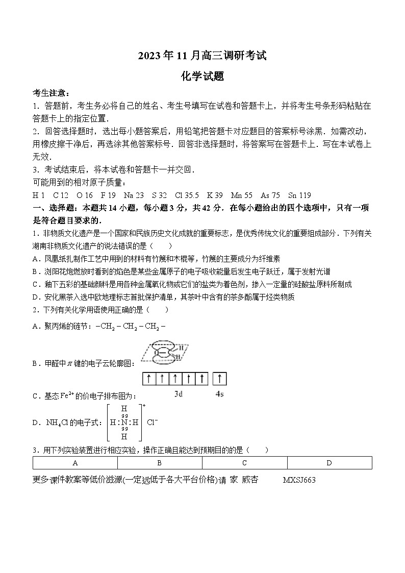 湖南省宁乡市2023-2024学年高三上学期11月调研考试化学试题01