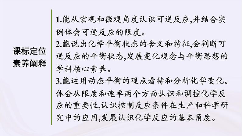 新教材适用2023_2024学年高中化学专题6化学反应与能量变化第1单元化学反应速率与反应限度第2课时化学反应的限度课件苏教版必修第二册第3页