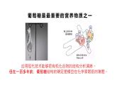 研究有机化合物的一般方法  课件