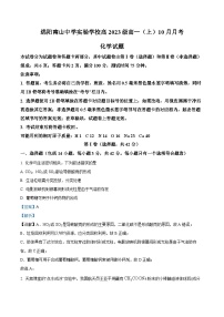 四川省绵阳市南山中学实验学校2023-2024学年高一上学期10月月考化学试题（Word版附解析）