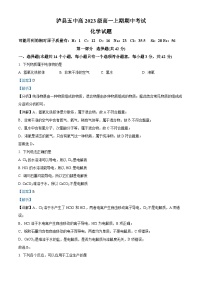 四川省泸州市泸县第五中学2023-2024学年高一上学期11月期中化学试题（Word版附解析）