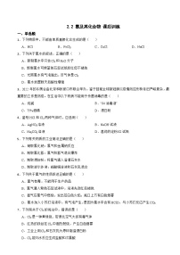 化学必修 第一册第二章 海水中的重要元素——钠和氯第二节 氯及其化合物课时训练