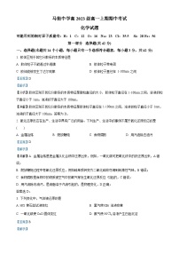 四川省泸州市合江县马街中学2023-2024学年高一上学期期中化学试题（Word版附解析）