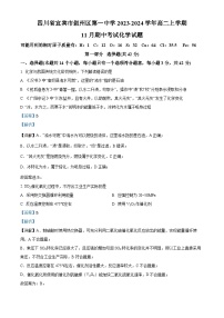 四川省宜宾市叙州区第一中学2023-2024学年高二上学期期中化学试题（Word版附解析）