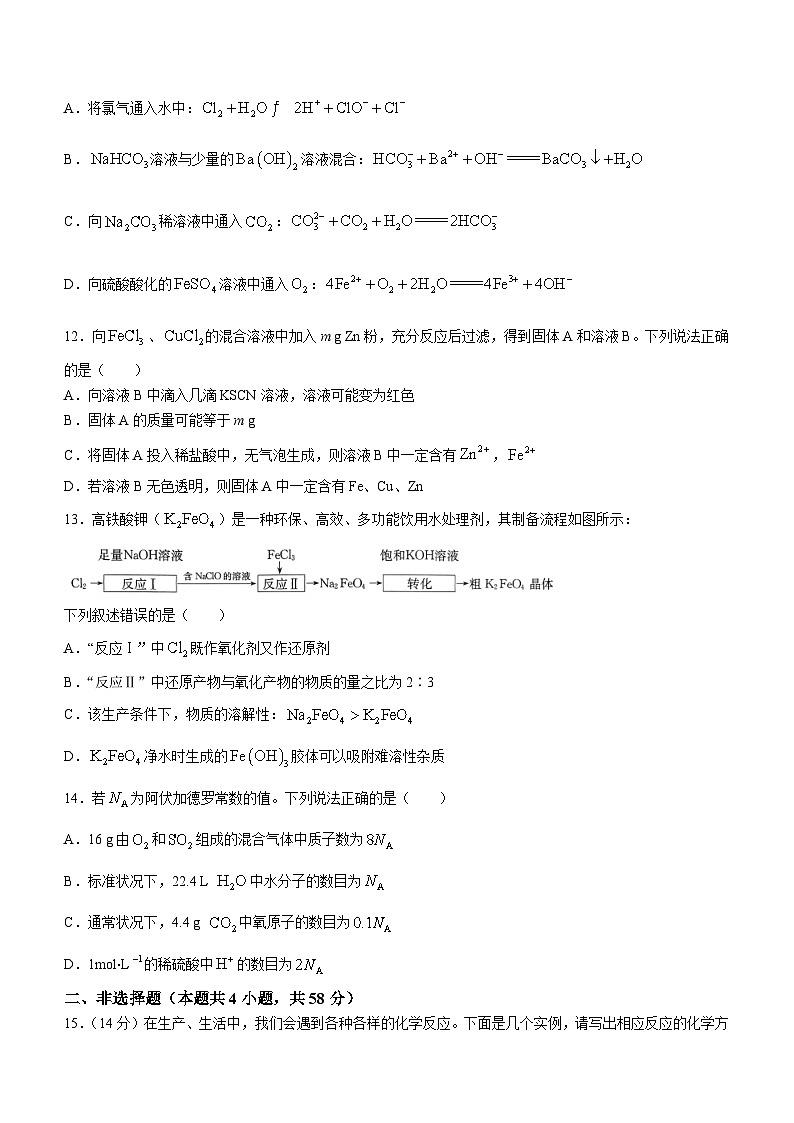 2024新乡九师联盟高一上学期12月月考试题化学无答案第3页