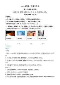 广东省广州市第八十九中学2023-2024学年高一上学期11月期中考试化学试题（解析版）