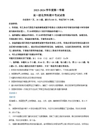 广东省广州市执信中学2023-2024学年高一上学期11月期中化学试题（解析版）